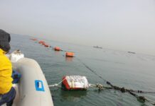 경기도, 해면 양식장 관리 실태조사 200건 추진