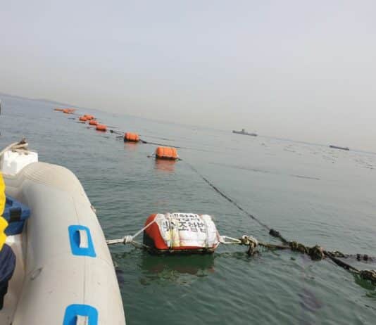 경기도, 해면 양식장 관리 실태조사 200건 추진