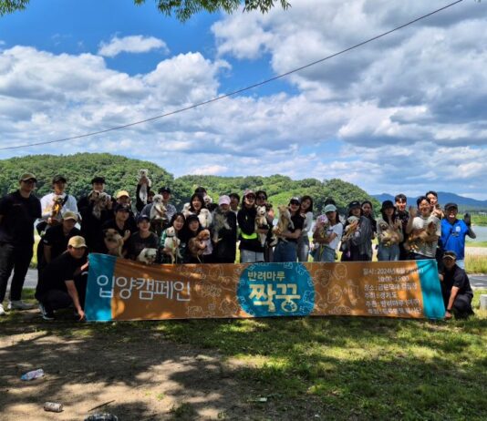 경기도, ‘반려마루 짝꿍들’ 소풍 행사로 반려동물 입양 활성화