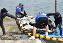 경기도, 잠수사 투입 등 해양폐기물 취약지역에서 정화 활동 추진